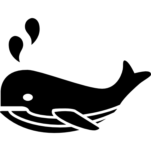 Whale oceanic mammal side view